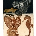 价格盲盒藏书票珍品秒杀（6）。