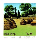 王维德精品  2011年“三民杯”国际藏书票大赛收藏展银奖作品-仲夏