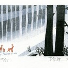 13丁金胜羽佳藏书票作品204