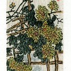 19丁金胜菊系列藏书票作品414