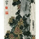 19丁金胜菊系列藏书票作品412