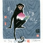 16丁金胜生肖猴藏书票作品289