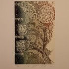雅科文科藏书票 珍品