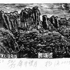 13杨涵（犀牛望月）藏书票原作280