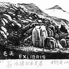 13杨涵（文化人2）藏书票原作282