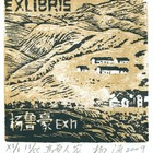 09杨涵（杨鲁豪）藏书票原作163（无货）