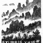09杨涵（群峰）藏书票原作178（无货）