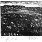 13杨涵（文化人4）藏书票原作284
