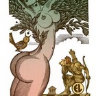 阿卡迪藏书票原作050（无货）