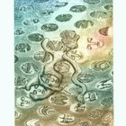 斯洛伐克皮亚次卡藏书票039无货