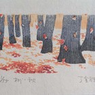 丁金胜藏书票   