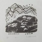 中心会员低价特供名家藏书票精品