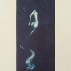104闪购积分兑换藏书票（捷克简瑟诺迪美柔汀）珍品