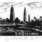 杨涵珍品藏书票低价起拍（仅春节一次）票主七分之一栏目主持人，非此编号