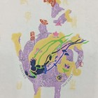陈川精品藏书票（珍品）