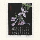 文创产品名票主（送礼的最佳选择）单张购买价格